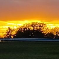 Ellaville RV Park ico