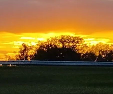 Ellaville RV Park