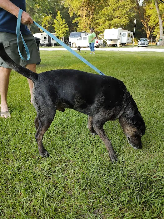 Futter's 4 Oaks RV Park Picture 8