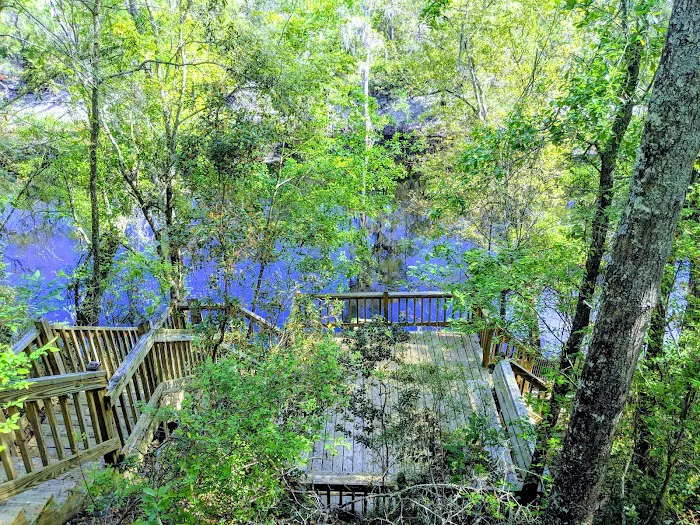 Suwannee Valley Resort LLC Picture 8