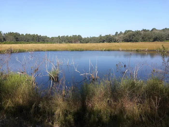 Kelly's RV Park Picture 2
