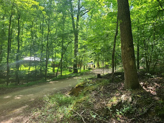 Camp Buck Toms Picture 5