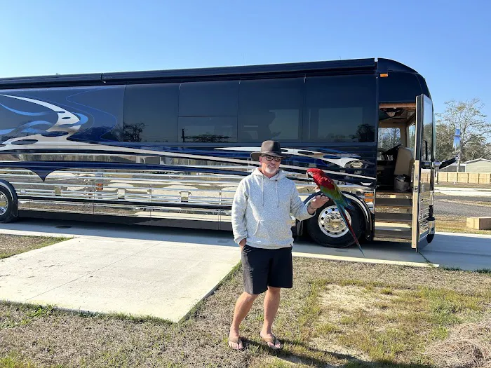 The Station RV Resort Picture 4
