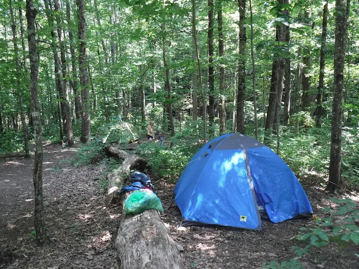 Backcountry Campsite #95 Picture 10