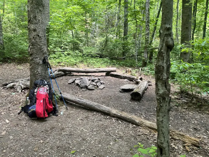 Backcountry Campsite #95 Picture 7