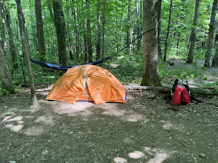 Backcountry Campsite #95 Picture 6