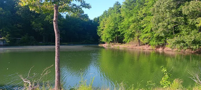 Tombigbee River RV Park Picture 1