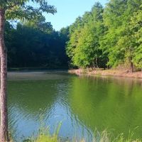 Tombigbee River RV Park ico