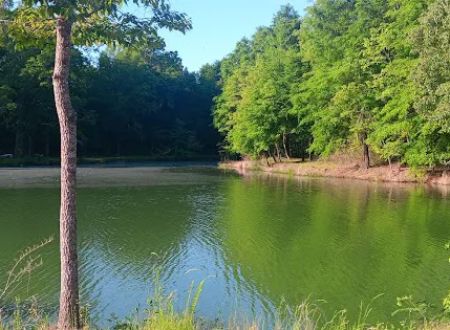 Tombigbee River RV Park