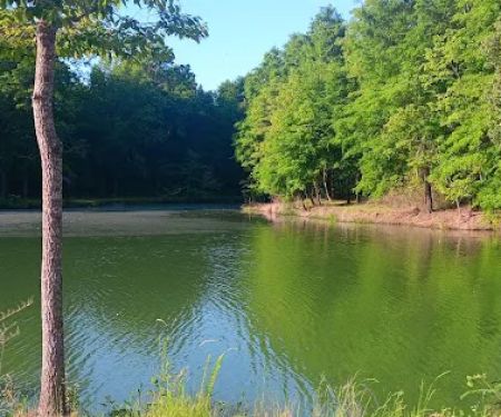 Tombigbee River RV Park