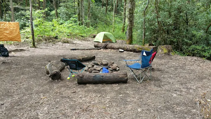 Backcountry Campsite #93 Picture 8