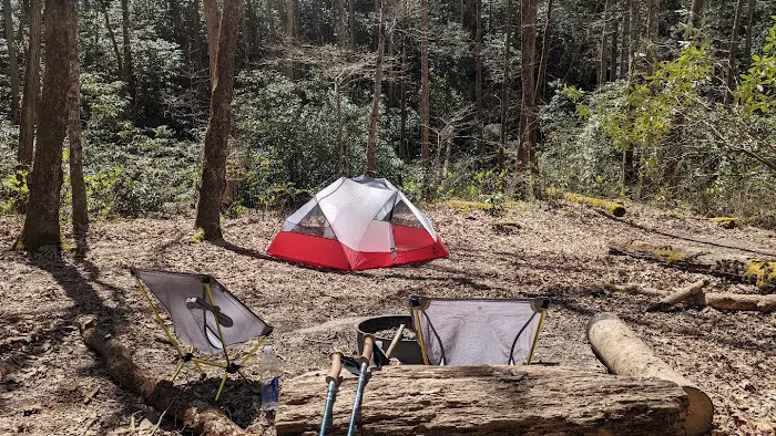 Backcountry Campsite #93 Picture 2