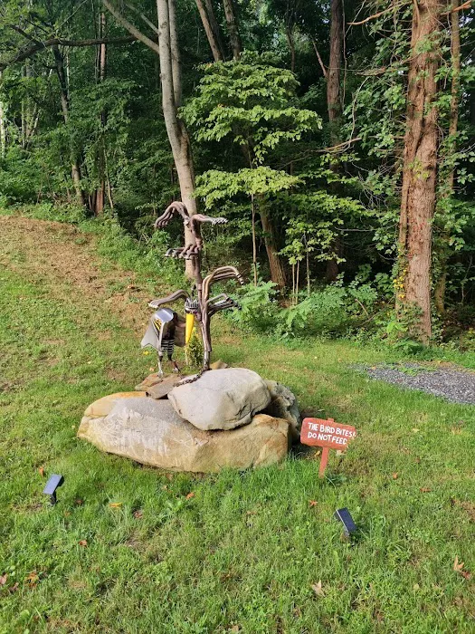 Tail of the Dragon Racers Camp Picture 8