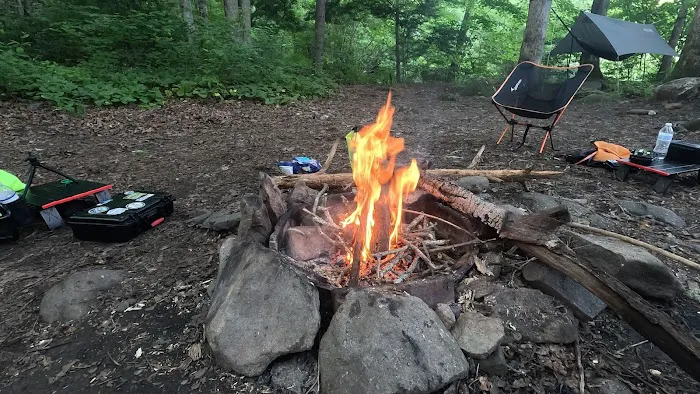 Backcountry Campsite #90 Picture 7