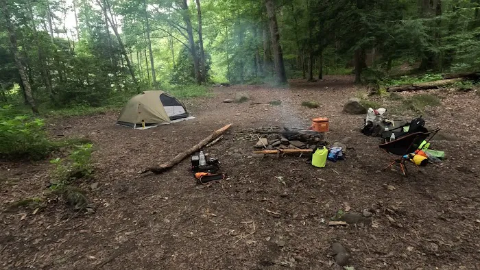 Backcountry Campsite #90 Picture 4