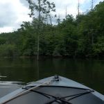 Backcountry Campsite #90