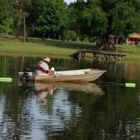 Country Dogs RV Park ico