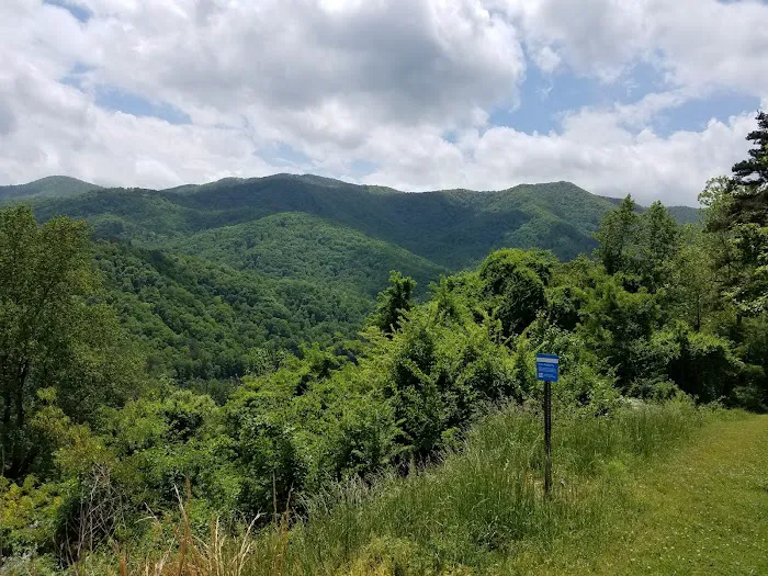 Fontana Dam Campground Picture 3