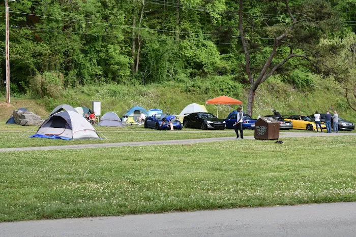 Fontana Dam Campground Picture 10