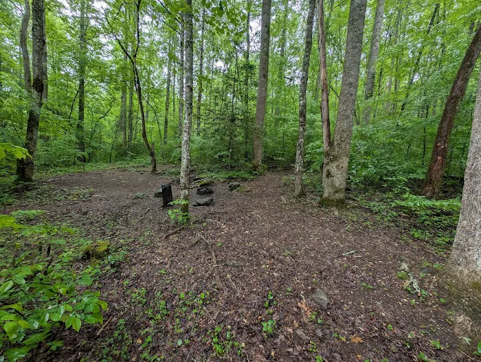 Backcountry Campsite #88 Picture 1