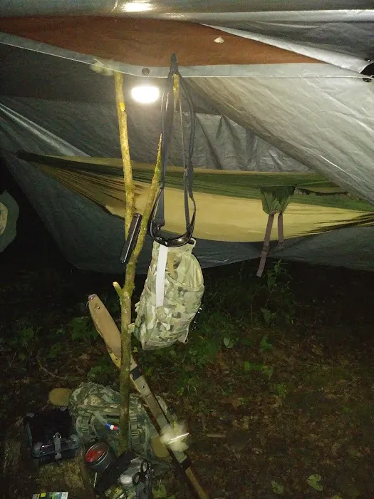 Backcountry Campsite #82 Picture 2