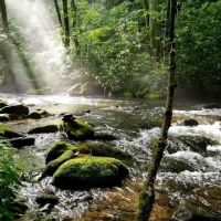 Backcountry Campsite #82 ico