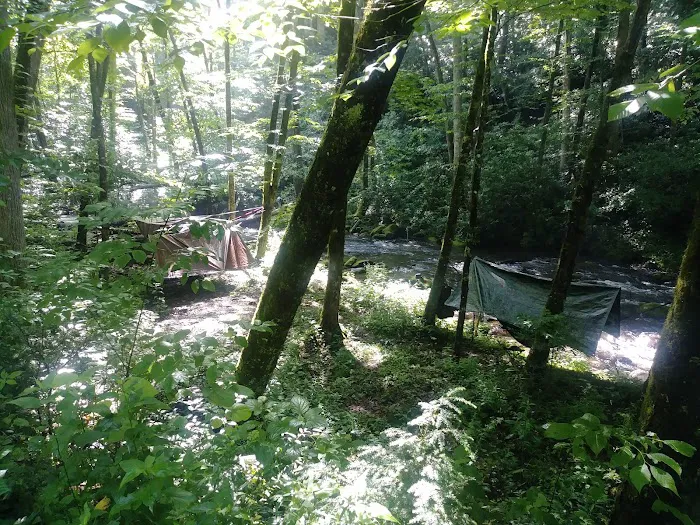 Backcountry Campsite #82 Picture 9