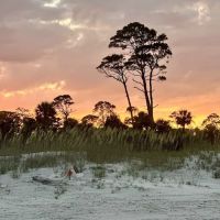 Hunting Island State Park Campground ico