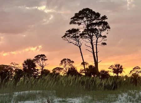 Hunting Island State Park Campground
