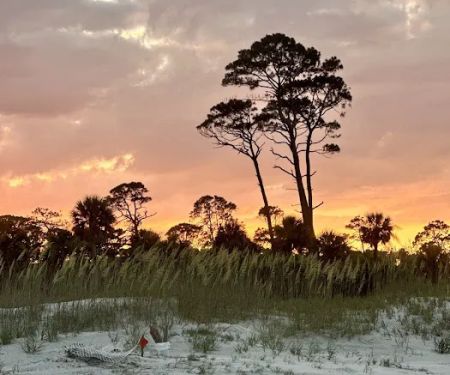 Hunting Island State Park Campground