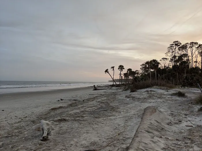 Hunting Island State Park Campground Picture 2