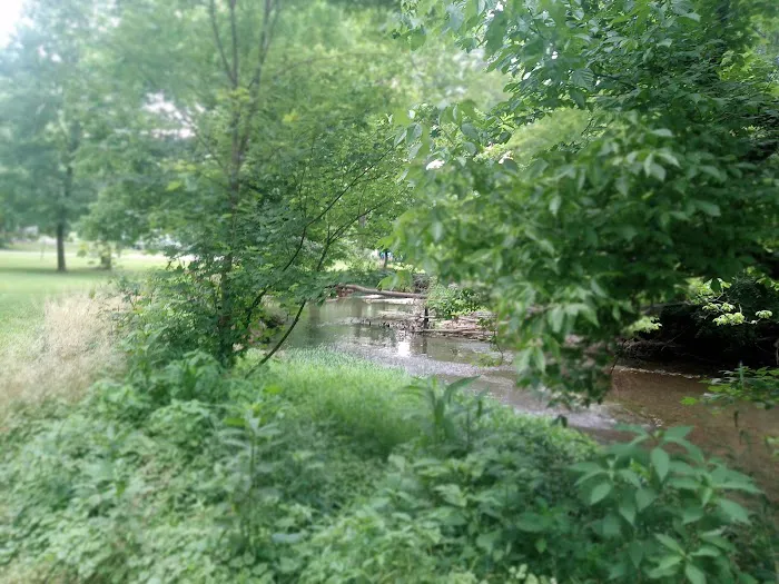 Spring Creek Campground Picture 8