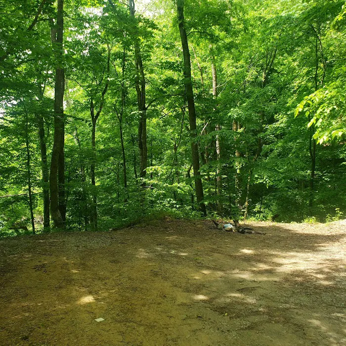 Taylor's Ford Picture 8