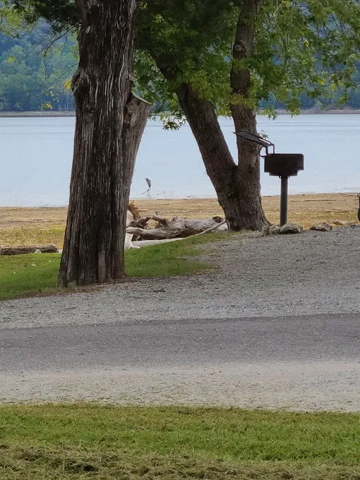 Obey River Campground Picture 8