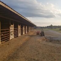 East Fork Stables & Campground ico