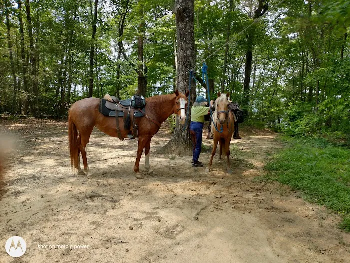 East Fork Stables & Campground Picture 7