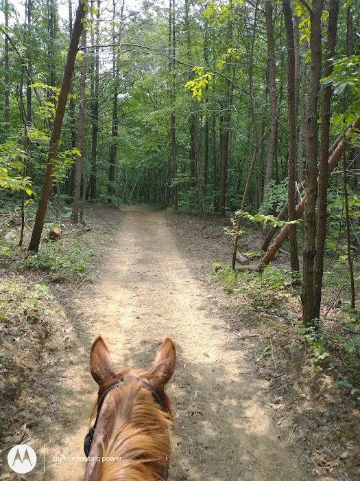 East Fork Stables & Campground Picture 4