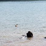 Cove Creek Campground