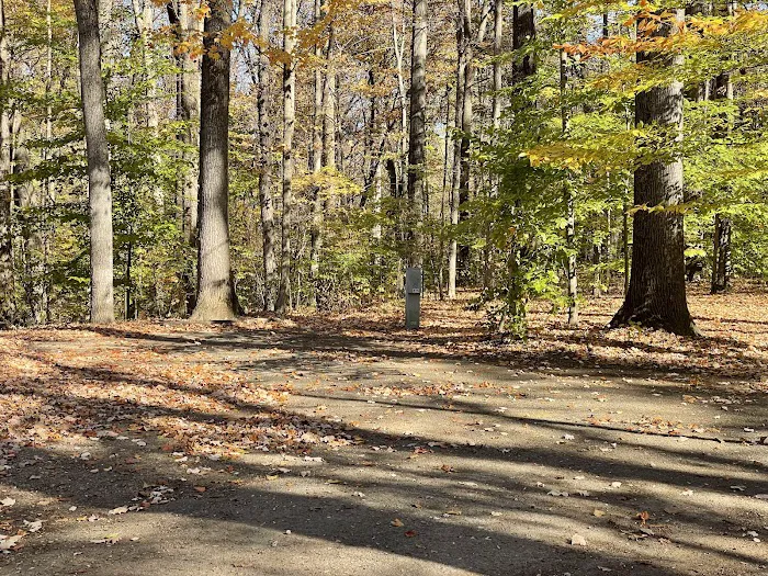 Turkey Run State Park Campground Picture 5