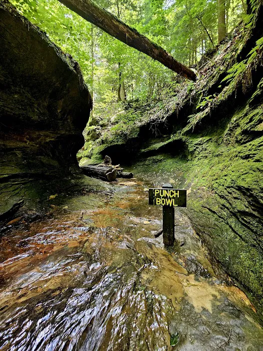 Turkey Run State Park Campground Picture 2