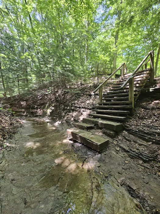 Turkey Run State Park Campground Picture 4