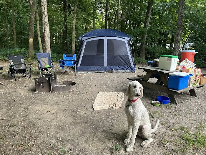 Turkey Run State Park Campground Picture 9