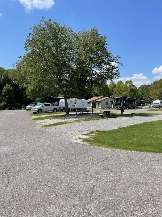 Graceland RV Park & Campground Picture 8