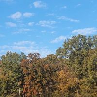 Elvis Presley Boulevard RV Park ico