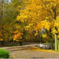 Terre Haute Campground ico