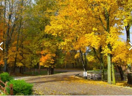 Terre Haute Campground