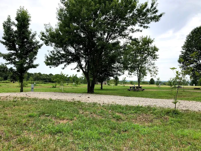 Miles Landing Campground Picture 8