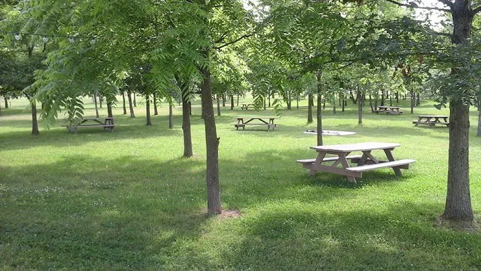 Miles Landing Campground Picture 2