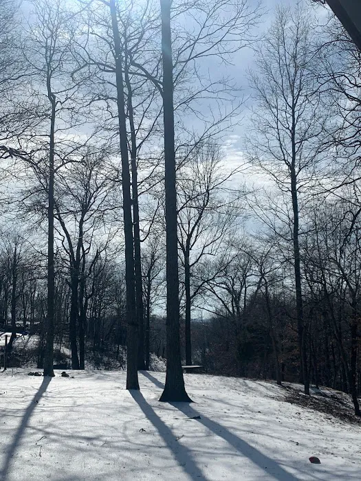 Camp Safe Haven/ Earthbound lodging Picture 6