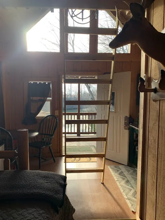 Camp Safe Haven/ Earthbound lodging Picture 7